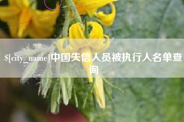 桂平中国失信人员被执行人名单查询