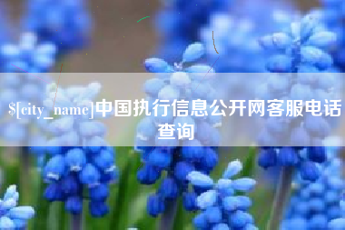 桂平中国执行信息公开网客服电话查询