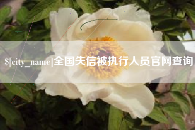 桂平全国失信被执行人员官网查询