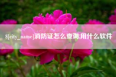 桂平消防证怎么查询,用什么软件