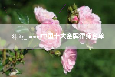 桂平中国十大金牌律师名单