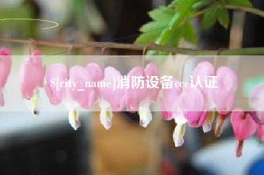 桂平消防设备ccc认证