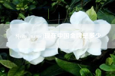 桂平现在中国金牌是多少