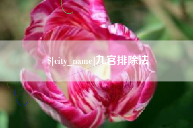 桂平九宫排除法
