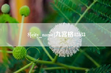 桂平九宫格42633