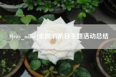 桂平全国消防日主题活动总结
