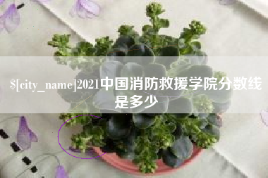 桂平2021中国消防救援学院分数线是多少