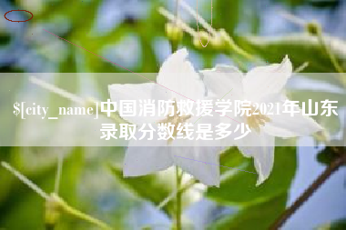 桂平中国消防救援学院2021年山东录取分数线是多少