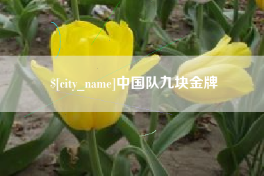 桂平中国队九块金牌