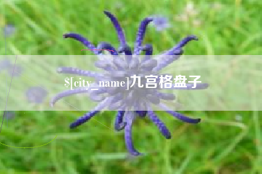 桂平九宫格盘子