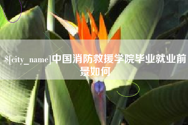 桂平中国消防救援学院毕业就业前景如何