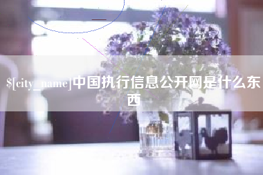 桂平中国执行信息公开网是什么东西