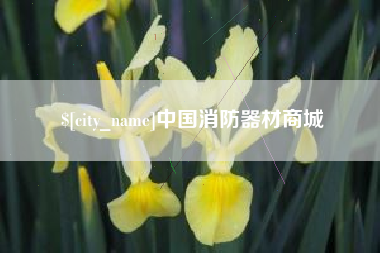 桂平中国消防器材商城