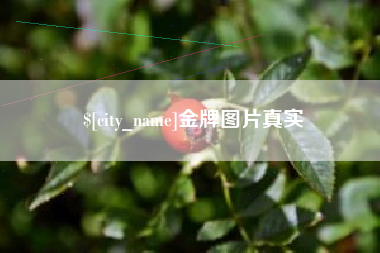 桂平金牌图片真实