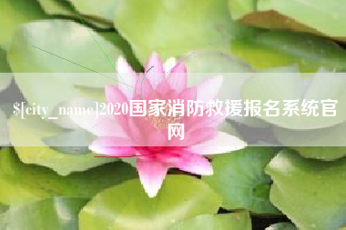 桂平2020国家消防救援报名系统官网
