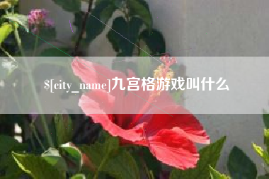 桂平九宫格游戏叫什么