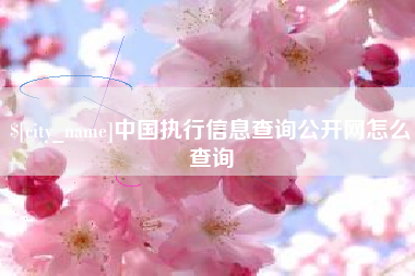桂平中国执行信息查询公开网怎么查询