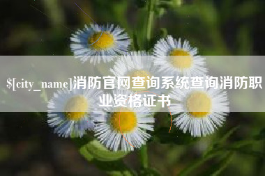 桂平消防官网查询系统查询消防职业资格证书