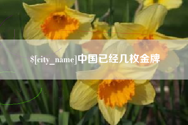 桂平中国已经几枚金牌
