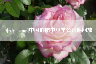 桂平中国消防中小学公开课回放