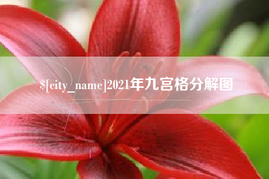 桂平2021年九宫格分解图