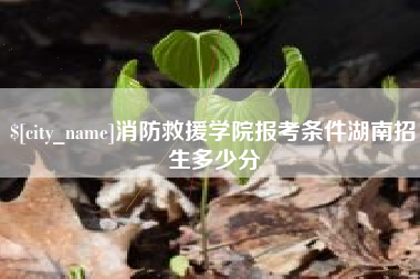 桂平消防救援学院报考条件湖南招生多少分