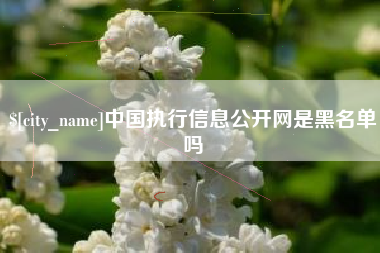桂平中国执行信息公开网是黑名单吗