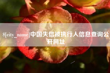 桂平中国失信被执行人信息查询公开网址