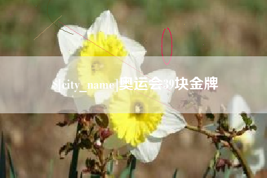 桂平奥运会39块金牌