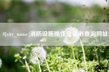 桂平消防设施操作员证书查询网址