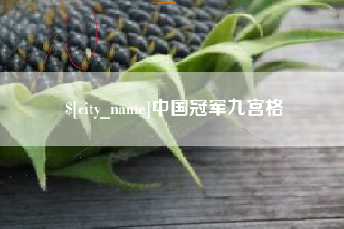 桂平中国冠军九宫格