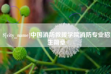 桂平中国消防救援学院消防专业招生简章
