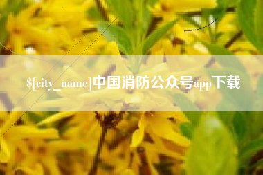 桂平中国消防公众号app下载