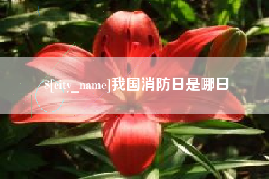 桂平我国消防日是哪日