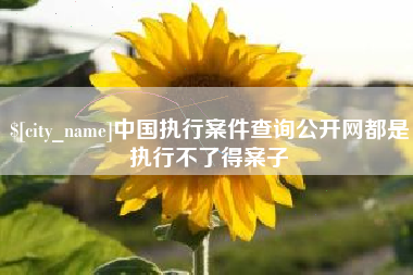 桂平中国执行案件查询公开网都是执行不了得案子