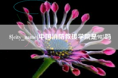 桂平中国消防救援学院是985吗