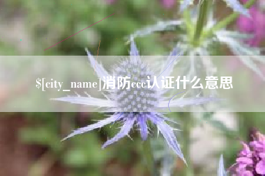 桂平消防ccc认证什么意思