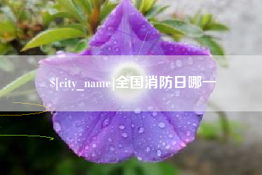 桂平全国消防日哪一