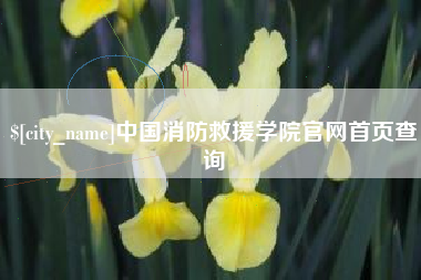 桂平中国消防救援学院官网首页查询