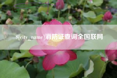 桂平消防证查询全国联网