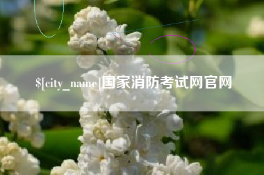 桂平国家消防考试网官网