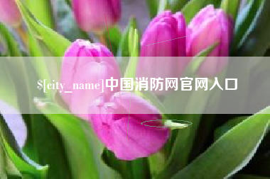桂平中国消防网官网入口