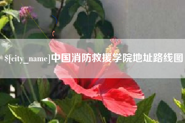 桂平中国消防救援学院地址路线图