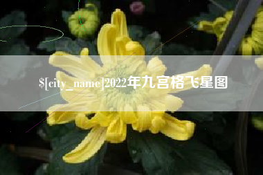 桂平2022年九宫格飞星图