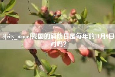 桂平我国的消防日是每年的11月9日对吗？