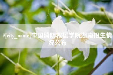 桂平中国消防救援学院湖南招生情况公布