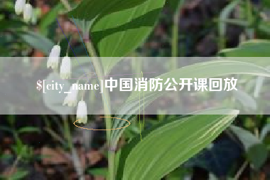 桂平中国消防公开课回放