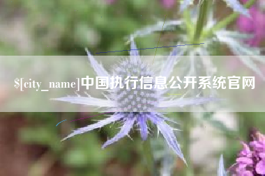 桂平中国执行信息公开系统官网