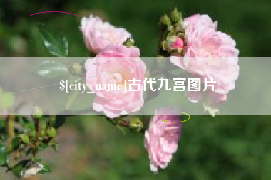 桂平古代九宫图片