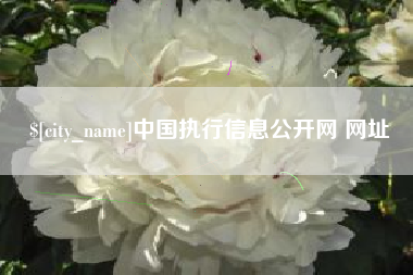 桂平中国执行信息公开网 网址